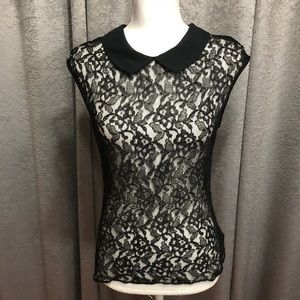 Collared Lace Sleeves Blouse